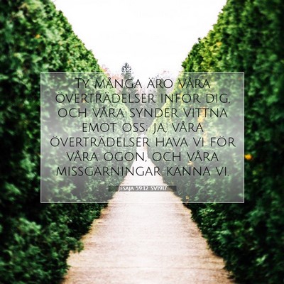 Picture 07 - Jesaja 59:12 SV1917 - Ty många äro våra överträdelser inför dig, - Bible Verse Picture