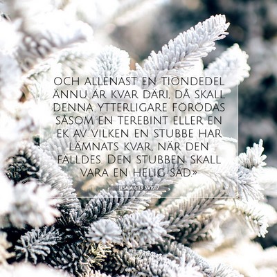 Picture 07 - Jesaja 6:13 SV1917 - och allenast en tiondedel ännu är kvar däri, - Bible Verse Picture