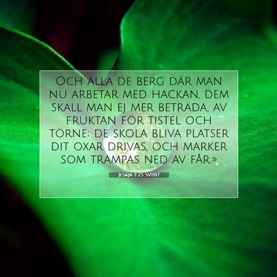 Picture 07 - Jesaja 7:25 SV1917 - Och alla de berg där man nu arbetar med hackan, - Bible Verse Picture