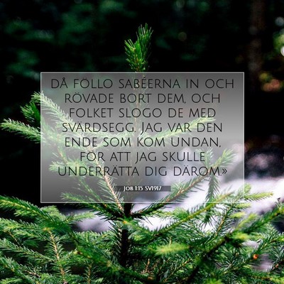 Picture 07 - Job 1:15 SV1917 - då föllo sabéerna in och rövade bort dem, och - Bible Verse Picture