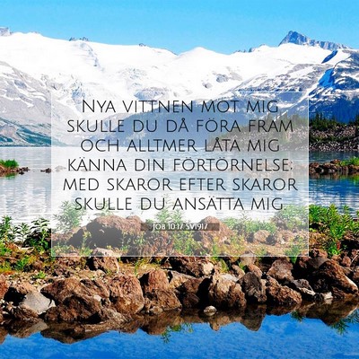 Picture 07 - Job 10:17 SV1917 - Nya vittnen mot mig skulle du då föra fram och - Bible Verse Picture