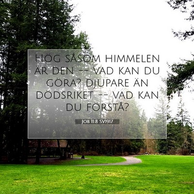 Picture 07 - Job 11:8 SV1917 - Hög såsom himmelen är den -- vad kan du göra? - Bible Verse Picture