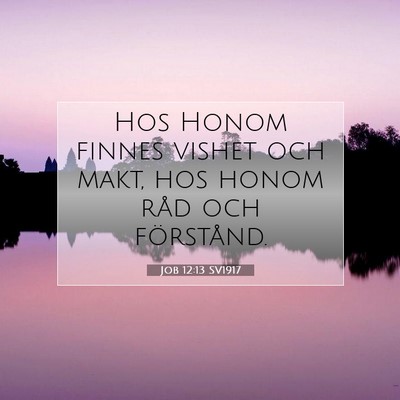 Picture 07 - Job 12:13 SV1917 - Hos Honom finnes vishet och makt, hos honom råd - Bible Verse Picture