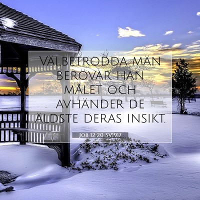Picture 07 - Job 12:20 SV1917 - Välbetrodda män berövar han målet och - Bible Verse Picture