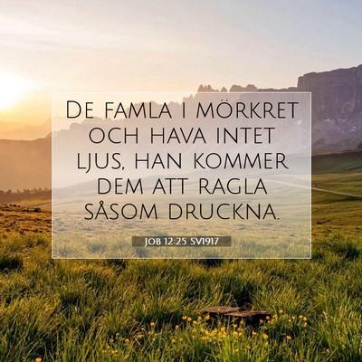 Picture 07 - Job 12:25 SV1917 - De famla i mörkret och hava intet ljus, han - Bible Verse Picture