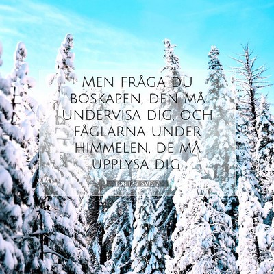 Picture 07 - Job 12:7 SV1917 - Men fråga du boskapen, den må undervisa dig, - Bible Verse Picture