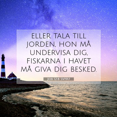 Picture 07 - Job 12:8 SV1917 - eller tala till jorden, hon må undervisa dig, - Bible Verse Picture