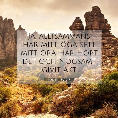 Picture 07 - Job 13:1 SV1917 - Ja, alltsammans har mitt öga sett, mitt öra har - Bible Verse Picture