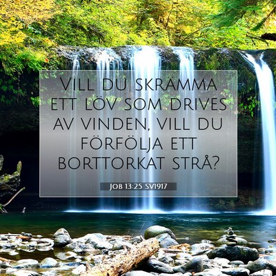 Picture 07 - Job 13:25 SV1917 - Vill du skrämma ett löv som drives av vinden, - Bible Verse Picture