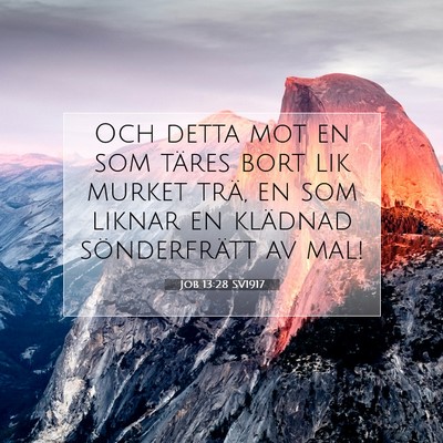 Picture 07 - Job 13:28 SV1917 - Och detta mot en som täres bort lik murket trä, - Bible Verse Picture