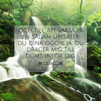 Picture 07 - Job 14:3 SV1917 - Och till att vakta på en sådan upplåter du - Bible Verse Picture