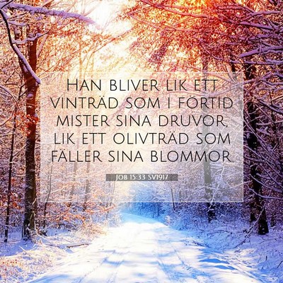 Picture 07 - Job 15:33 SV1917 - Han bliver lik ett vinträd som i förtid mister - Bible Verse Picture