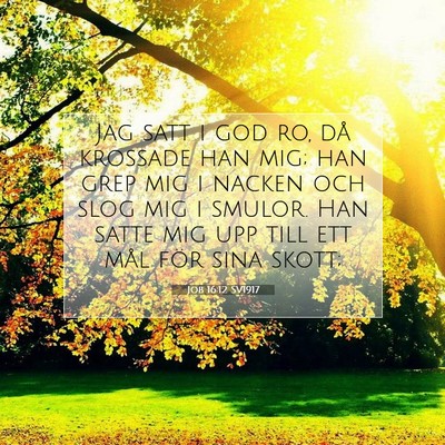 Picture 07 - Job 16:12 SV1917 - Jag satt i god ro, då krossade han mig; han grep - Bible Verse Picture
