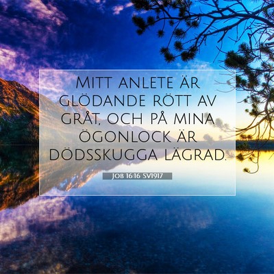 Picture 07 - Job 16:16 SV1917 - Mitt anlete är glödande rött av gråt, och på - Bible Verse Picture