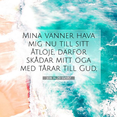 Picture 07 - Job 16:20 SV1917 - Mina vänner hava mig nu till sitt åtlöje, - Bible Verse Picture