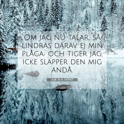 Picture 07 - Job 16:6 SV1917 - Om jag nu talar, så lindras därav ej min - Bible Verse Picture