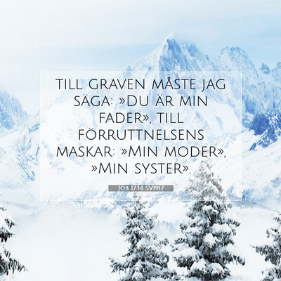 Picture 07 - Job 17:14 SV1917 - till graven måste jag säga: »Du är min - Bible Verse Picture