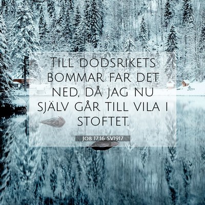 Picture 07 - Job 17:16 SV1917 - Till dödsrikets bommar far det ned, då jag nu - Bible Verse Picture