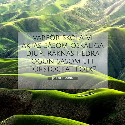 Picture 07 - Job 18:3 SV1917 - Varför skola vi aktas såsom oskäliga djur, - Bible Verse Picture