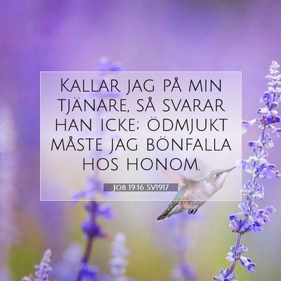 Picture 07 - Job 19:16 SV1917 - Kallar jag på min tjänare, så svarar han icke; - Bible Verse Picture