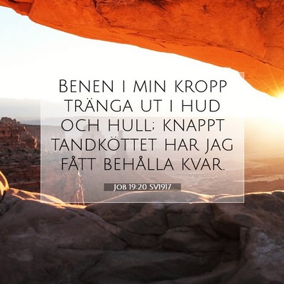 Picture 07 - Job 19:20 SV1917 - Benen i min kropp tränga ut i hud och hull; - Bible Verse Picture