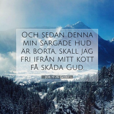 Picture 07 - Job 19:26 SV1917 - Och sedan denna min sargade hud är borta, skall - Bible Verse Picture