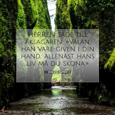 Picture 07 - Job 2:6 SV1917 - HERREN sade till Åklagaren: »Välan, han vare - Bible Verse Picture