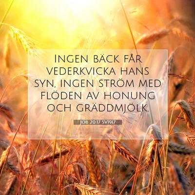 Picture 07 - Job 20:17 SV1917 - Ingen bäck får vederkvicka hans syn, ingen - Bible Verse Picture