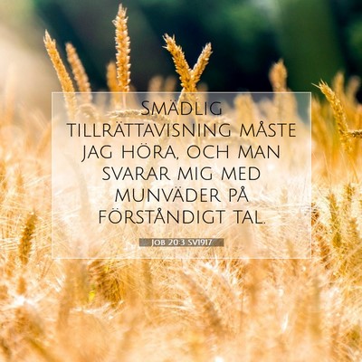 Picture 07 - Job 20:3 SV1917 - Smädlig tillrättavisning måste jag höra, och - Bible Verse Picture