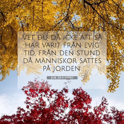 Picture 07 - Job 20:4 SV1917 - Vet du då icke att så har varit från evig tid, - Bible Verse Picture