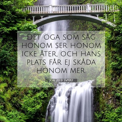 Picture 07 - Job 20:9 SV1917 - Det öga som såg honom ser honom icke åter, och - Bible Verse Picture