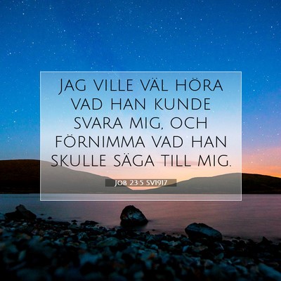 Picture 07 - Job 23:5 SV1917 - Jag ville väl höra vad han kunde svara mig, och - Bible Verse Picture