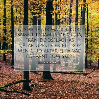 Picture 07 - Job 24:12 SV1917 - Utstötta ur människors samfund jämra de sig, - Bible Verse Picture
