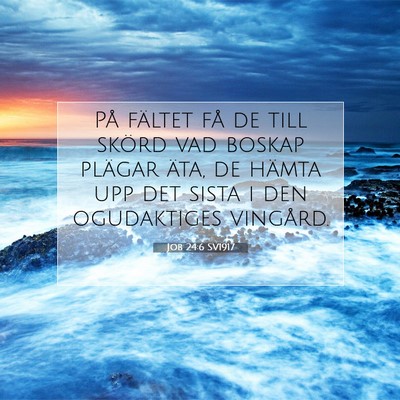 Picture 07 - Job 24:6 SV1917 - På fältet få de till skörd vad boskap plägar - Bible Verse Picture