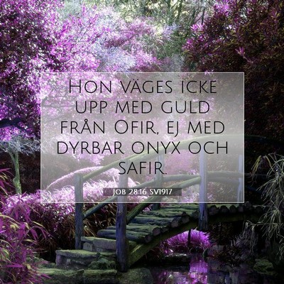 Picture 07 - Job 28:16 SV1917 - Hon väges icke upp med guld från Ofir, ej med - Bible Verse Picture