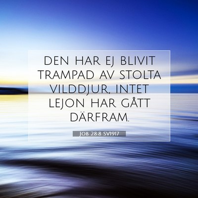 Picture 07 - Job 28:8 SV1917 - den har ej blivit trampad av stolta vilddjur, - Bible Verse Picture