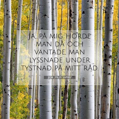 Picture 07 - Job 29:21 SV1917 - Ja, på mig hörde man då och väntade, man - Bible Verse Picture