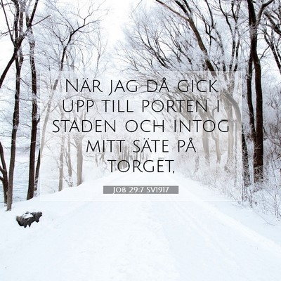 Picture 07 - Job 29:7 SV1917 - När jag då gick upp till porten i staden och - Bible Verse Picture