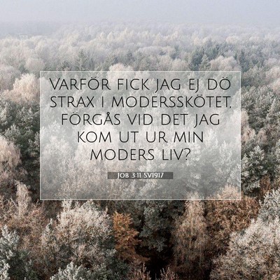 Picture 07 - Job 3:11 SV1917 - Varför fick jag ej dö strax i modersskötet, - Bible Verse Picture