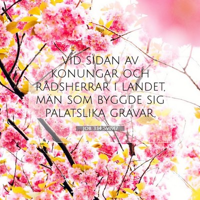 Picture 07 - Job 3:14 SV1917 - vid sidan av konungar och rådsherrar i landet, - Bible Verse Picture