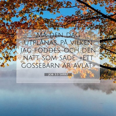Picture 07 - Job 3:3 SV1917 - Må den dag utplånas, på vilken jag föddes, - Bible Verse Picture