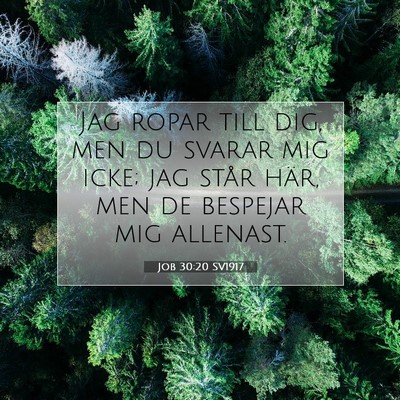 Picture 07 - Job 30:20 SV1917 - Jag ropar till dig, men du svarar mig icke; jag - Bible Verse Picture