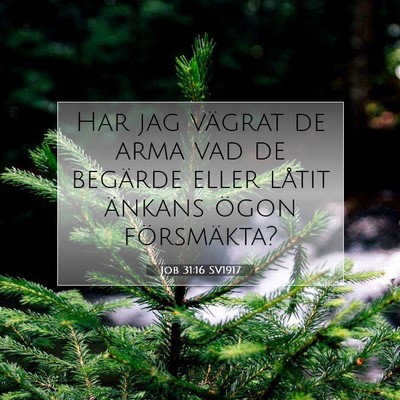 Picture 07 - Job 31:16 SV1917 - Har jag vägrat de arma vad de begärde eller - Bible Verse Picture