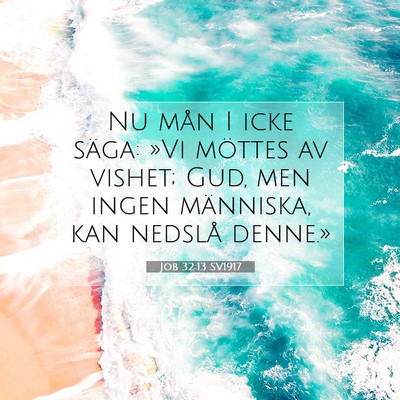 Picture 07 - Job 32:13 SV1917 - Nu mån I icke säga: »Vi möttes av vishet; - Bible Verse Picture