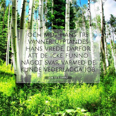 Picture 07 - Job 32:3 SV1917 - och mot hans tre vänner upptändes hans vrede, - Bible Verse Picture