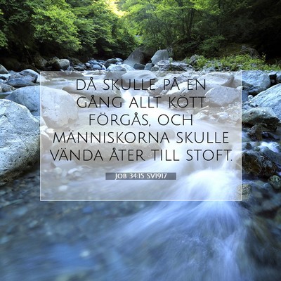 Picture 07 - Job 34:15 SV1917 - då skulle på en gång allt kött förgås, och - Bible Verse Picture