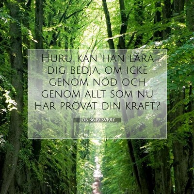 Picture 07 - Job 36:19 SV1917 - Huru kan han lära dig bedja, om icke genom nöd - Bible Verse Picture