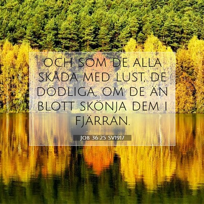 Picture 07 - Job 36:25 SV1917 - och som de alla skåda med lust, de dödliga, om - Bible Verse Picture