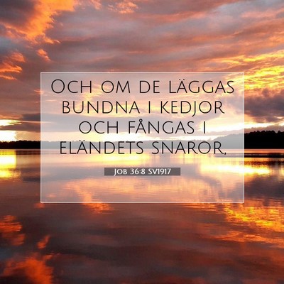 Picture 07 - Job 36:8 SV1917 - Och om de läggas bundna i kedjor och fångas i - Bible Verse Picture