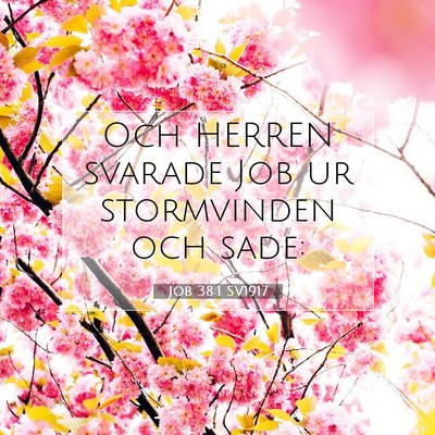 Picture 07 - Job 38:1 SV1917 - Och HERREN svarade Job ur stormvinden och - Bible Verse Picture